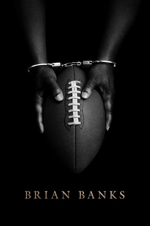 Brian Banks 2018 Hindi Dual Audio 300MB Brian Banks 2018 Hindi Dual Audio 300MB