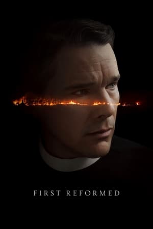 First Reformed 2017 Hindi Dual Audio 350MB First Reformed 2017 Hindi Dual Audio 350MB
